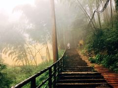 景点-东天目山风景区