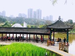 -龙头寺公园