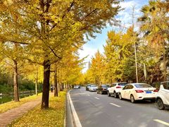 -成都市活水公园