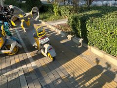 -潇湘府PLUS(大族广场店)