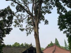 -都江堰普照寺