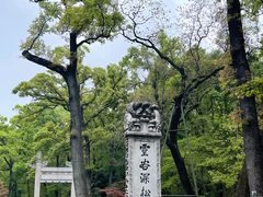 -灵谷景区