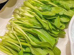 -牛鼎盛新疆雪花鲜牛火锅(武夷绿洲 店)