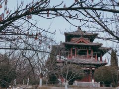 -西安青龙寺遗址景区