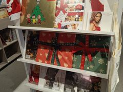 -浣熊唱片店(上海影城店)