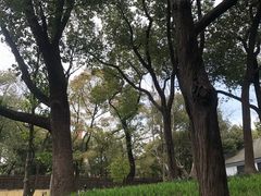-徐家汇源景区-衡山公园