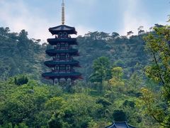 -广东天露山旅游度假区