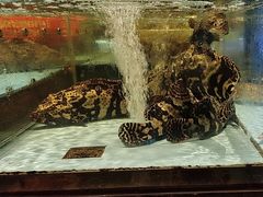 -阿伟海鲜楼·福建菜(延寿店)