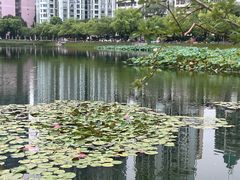 -西北湖绿化广场