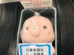 -郑州新郑国际机场