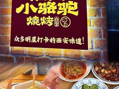 -福苗小骆驼烧烤(莲湖路店)