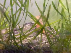 -上海大自然野生昆虫馆