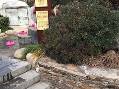 -太白山御龙湾温泉