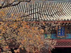 -香山公园