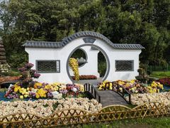 -上海共青森林公园