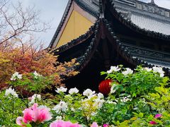 -龙华寺