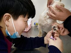 -美联众合动物医院·24h京西诊疗中心
