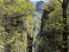 -王莽岭风景区