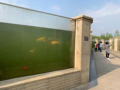 景点-云龙湖旅游景区