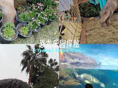 -海合安武汉极地海洋公园
