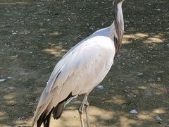-秦皇岛野生动物园