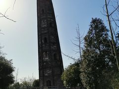 -上海佘山国家森林公园天马山园