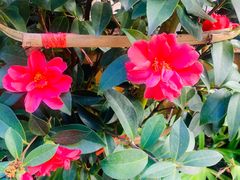 -阳光山水江湖菜馆(西山龙门店)