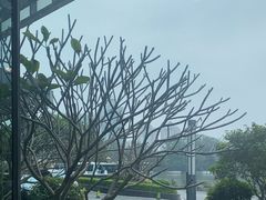 -福州西湖大酒店·怡湖咖啡厅