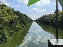 -黄海国家森林公园