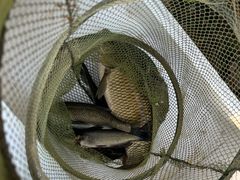 -溪悦渔庄(九龙湖店)