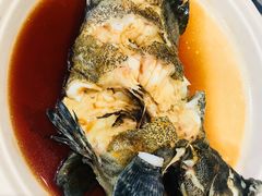 石斑鱼-盒马鲜生(红莲店)