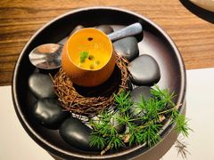 -觀芷隐轩