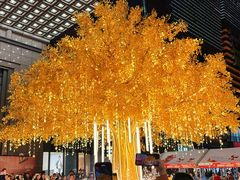 -友谊阳光城(金贸街道店)