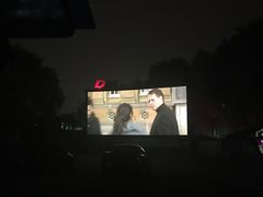 -枫花园汽车电影院(朝阳公园店)