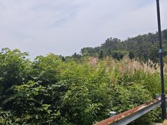 -青龙山国家森林公园