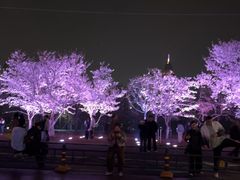 -西北湖绿化广场