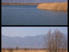 -野鸭湖国家湿地公园