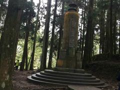 -阿里山神木遗迹