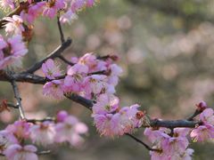 -福建天门山