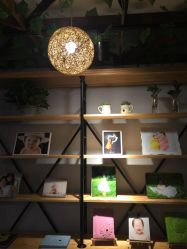 点击看大图 -小熊维尼高端儿童摄影(南山信和店)