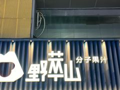 -野萃山·潮汕厚果汁(十亩地店)