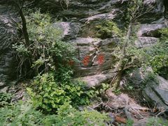 -双龙峡