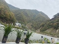 -牛背梁国家森林公园