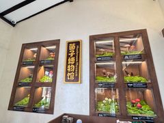 -菌自由丨野生菌火锅特色庭院餐厅(丽江古城店)