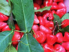 -老炳·七丛松甘草水果