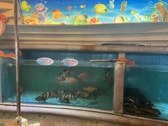 -快乐海鲜酒楼(滇池路店)