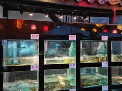 水产区-院8里·少城记忆老川菜(宽窄巷子店)