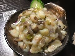 -春草居酒屋·晴子の店