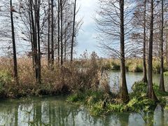 -捞渔河湿地公园