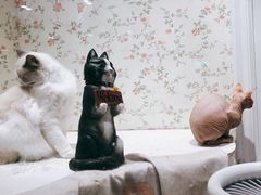 -猫小院猫主题餐厅(三里屯店)
